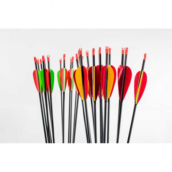 Black Eagle Intrepid ArrowsHalls Arrow