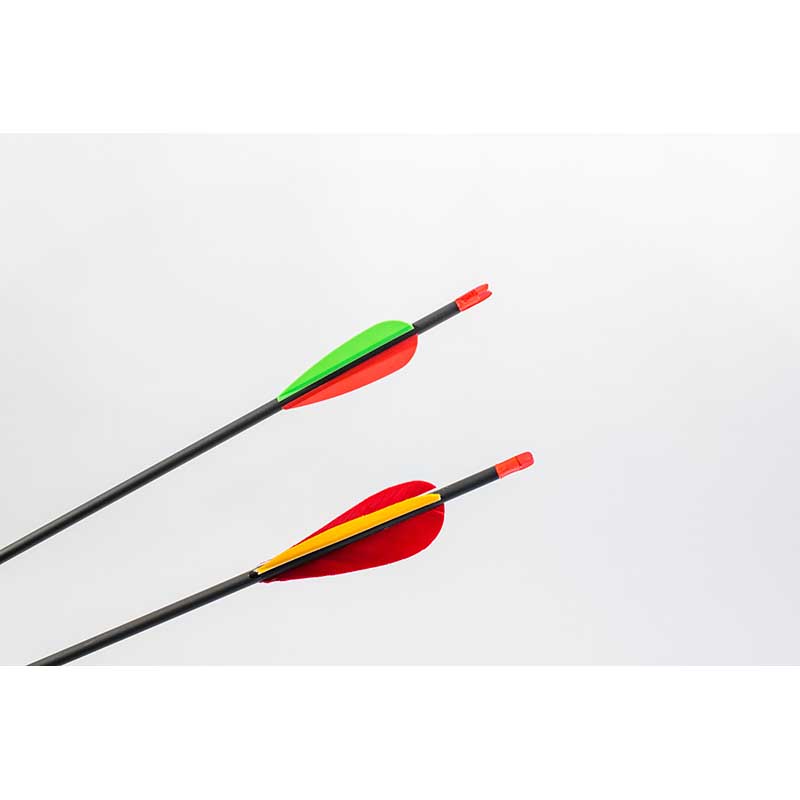 Carbon Pro Intrepid Arrows with FletchingsHalls Arrow