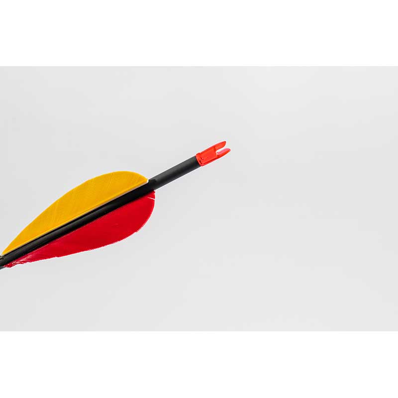 Black Eagle Intrepid ArrowsHalls Arrow