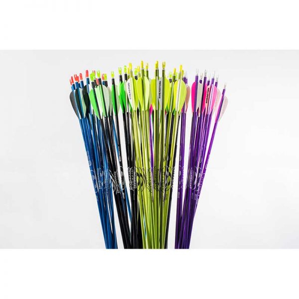 NASP Genesis Aluminum Arrows with Vanes